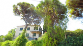  Apartment Dubrovnik Surprise  Дубровник